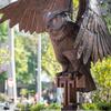 Temple OWL